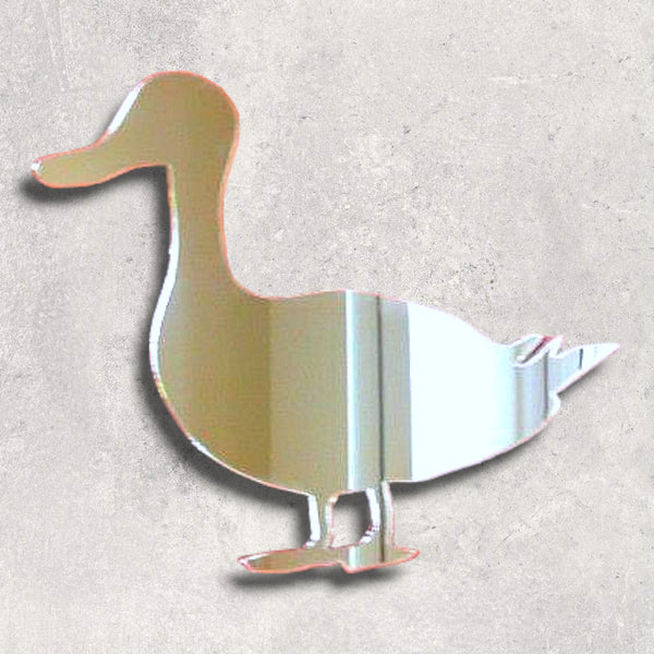 Duck Acrylic Mirror