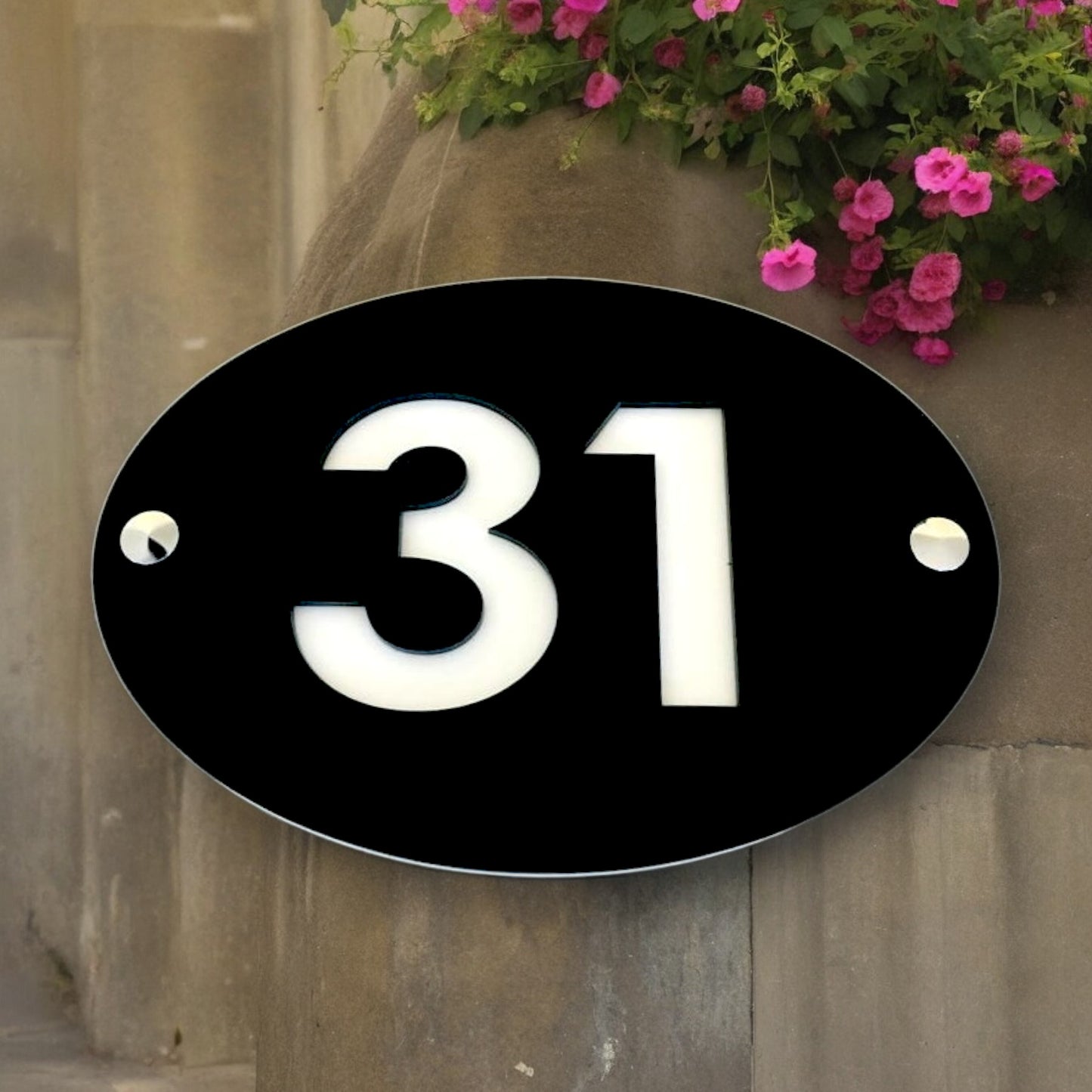 Oval House Number Sign