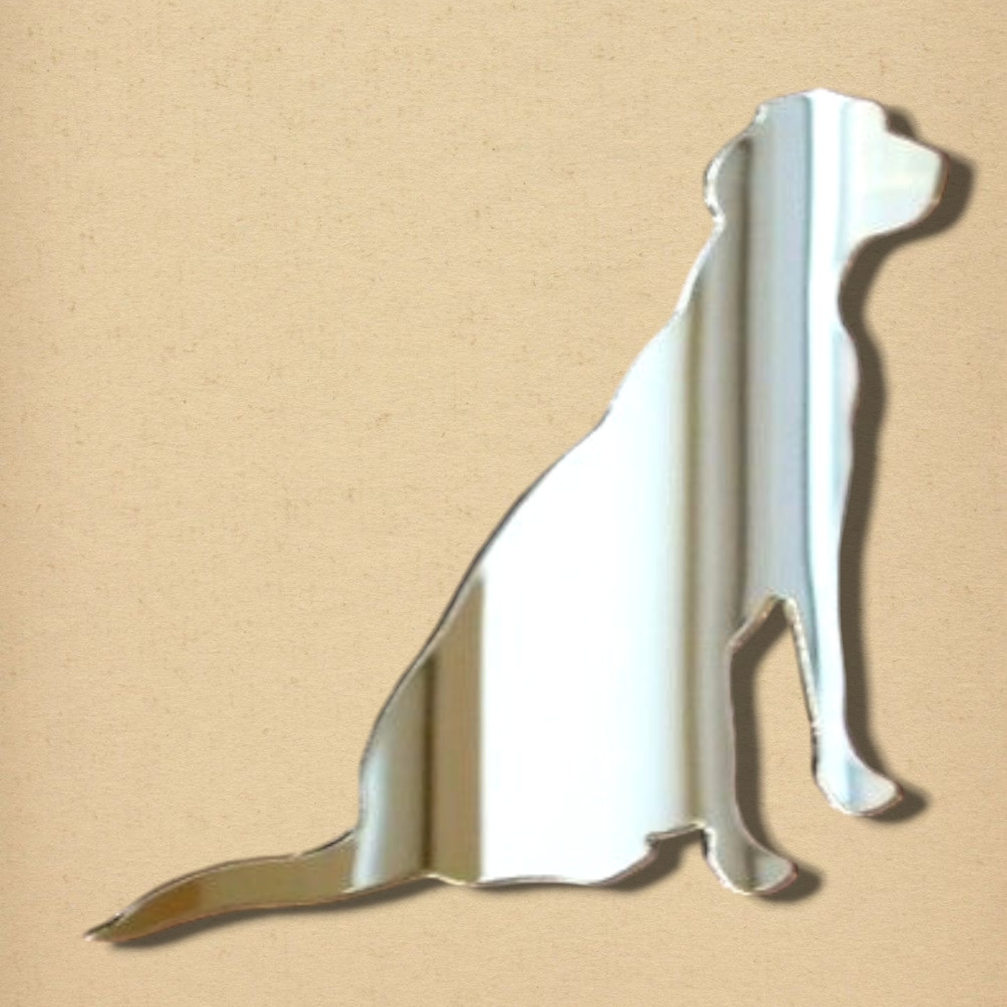 Labrador Mirror