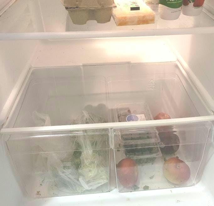 Custom Acrylic Fridge Shelf Replacement: Bespoke Sizes