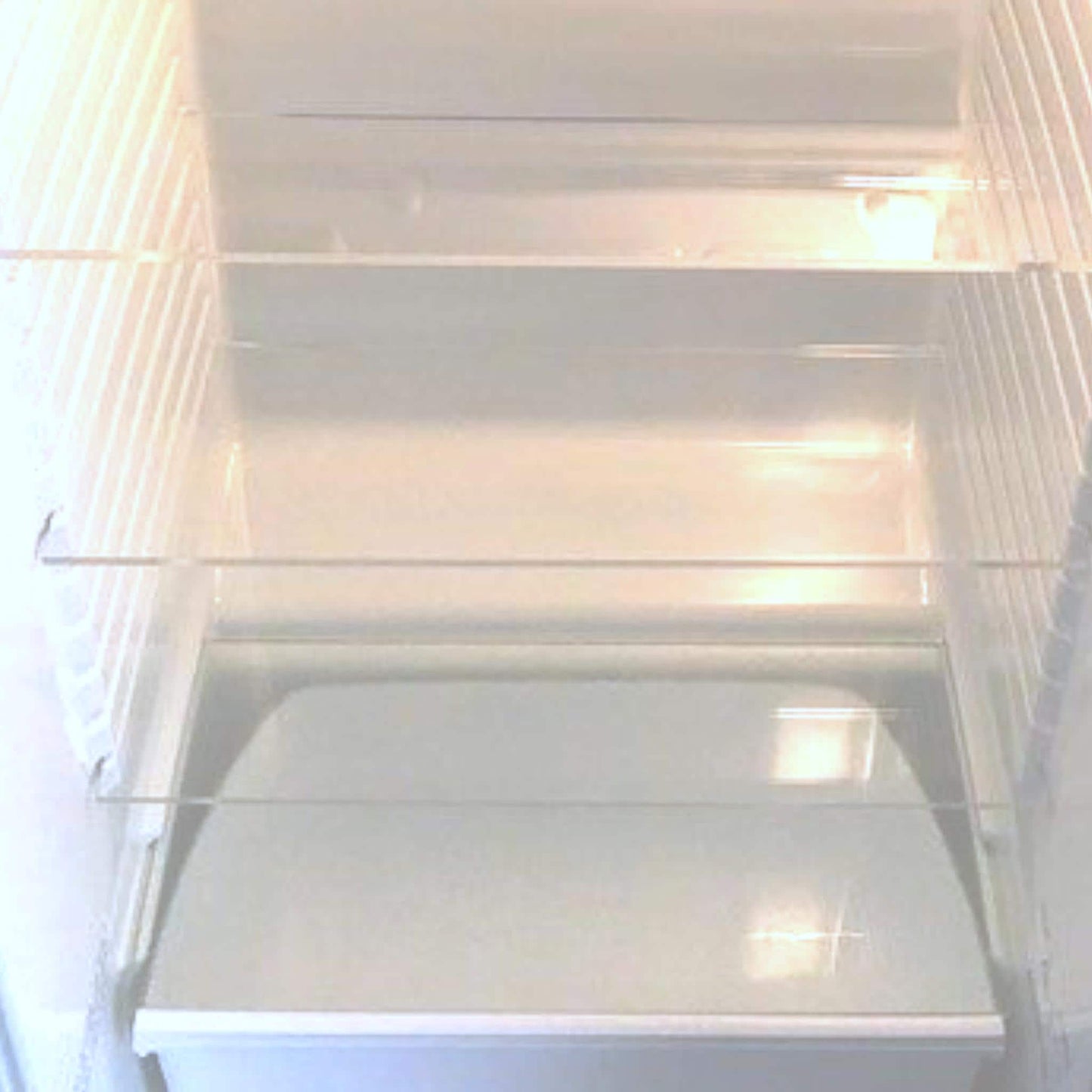 Custom Acrylic Fridge Shelf Replacement: Bespoke Sizes