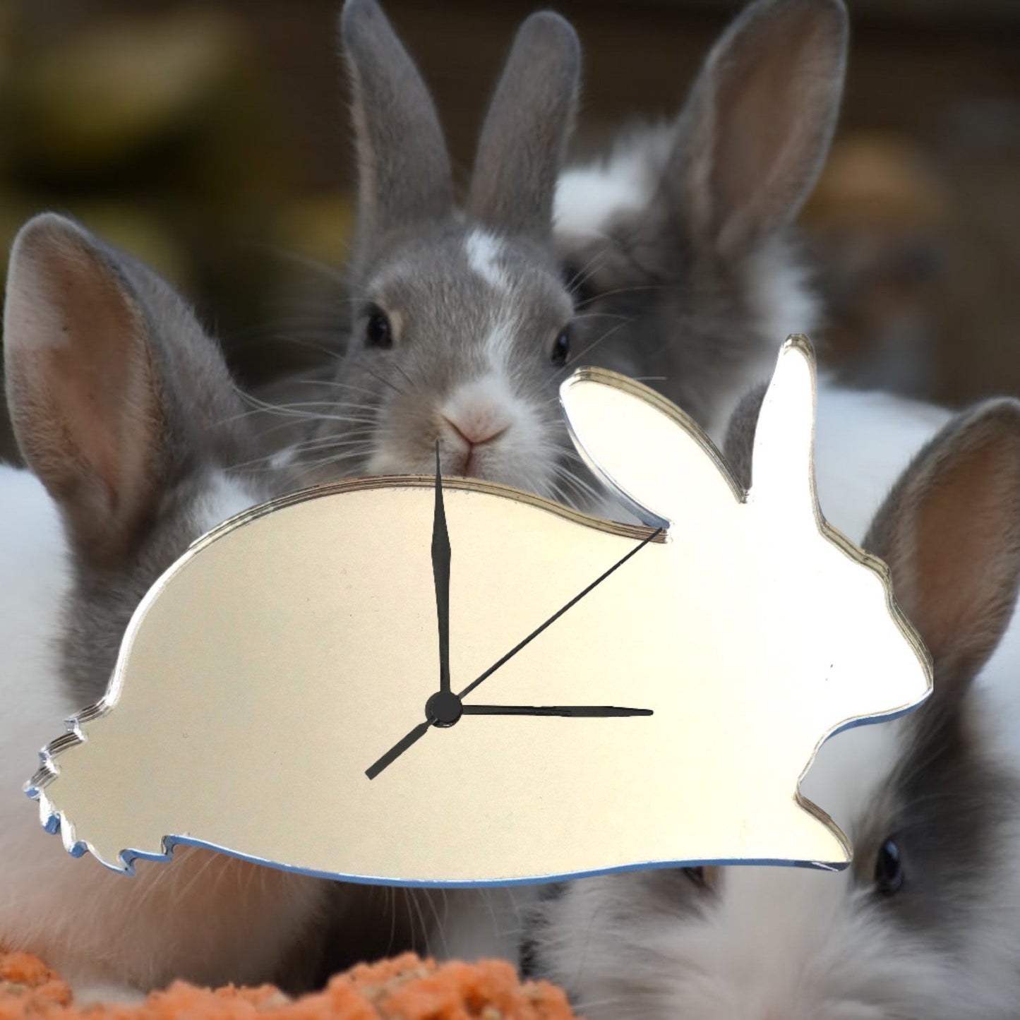 Rabbit Clock