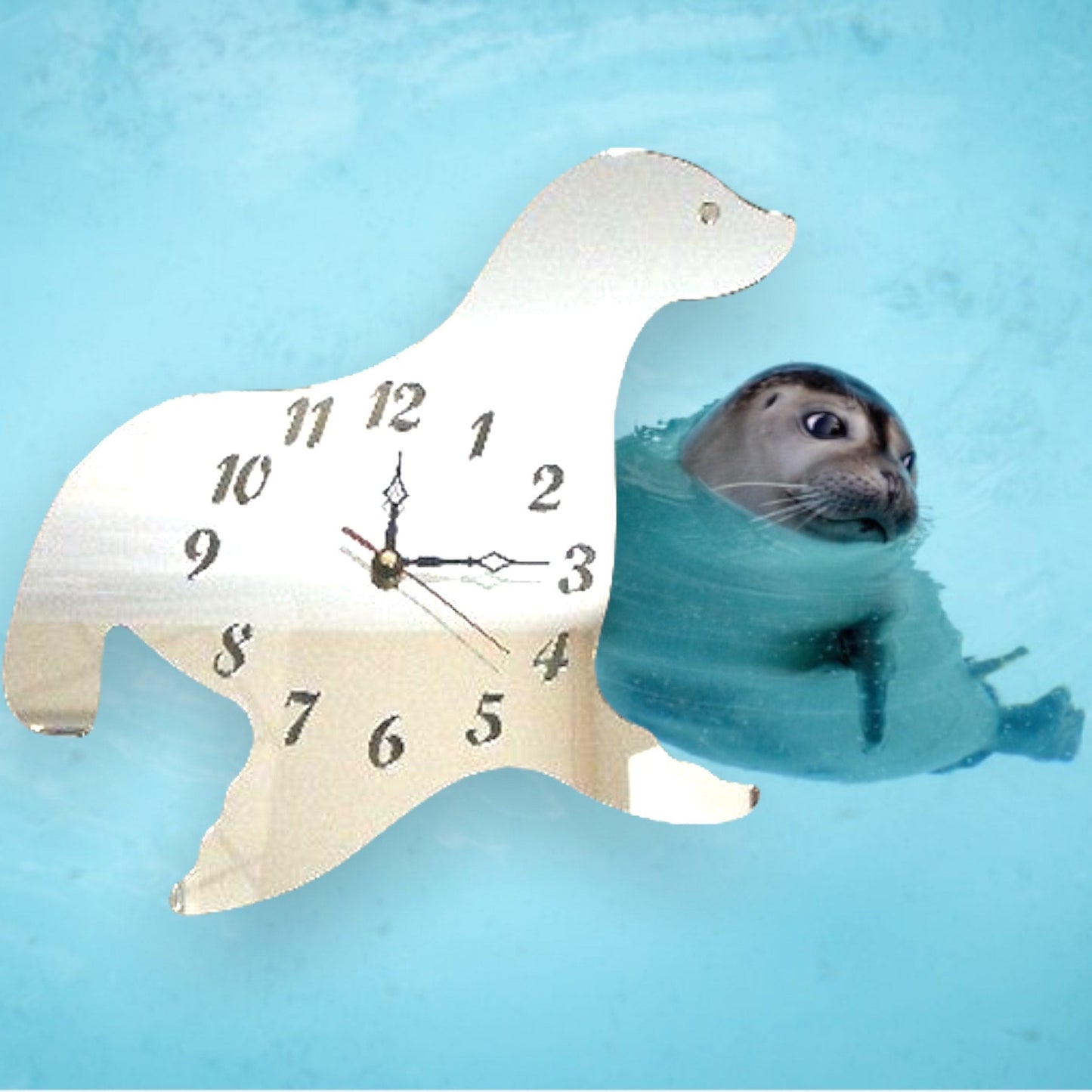Seal Clock