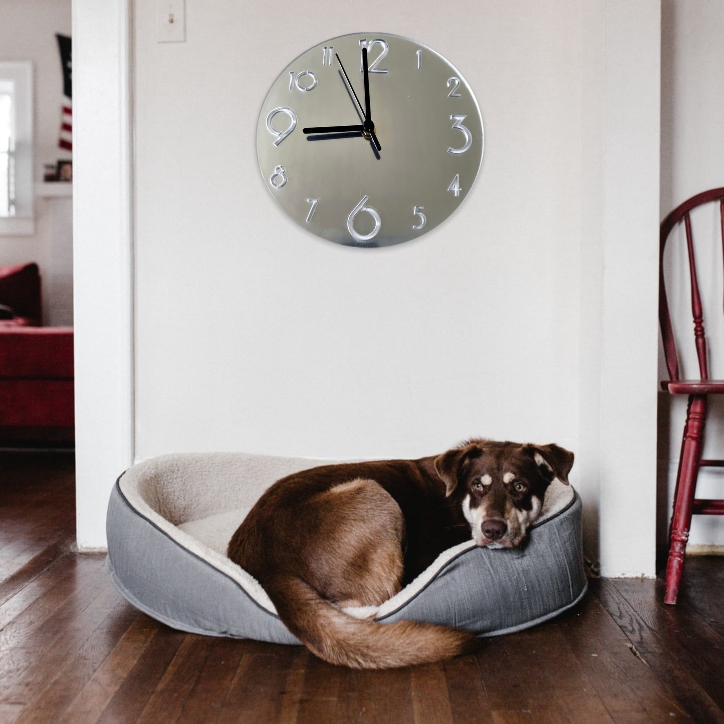 Contemporary Numbered Round Shaped Two Colour Clocks - Many Colour Choices